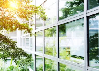 Eco-Friendly Cleaning